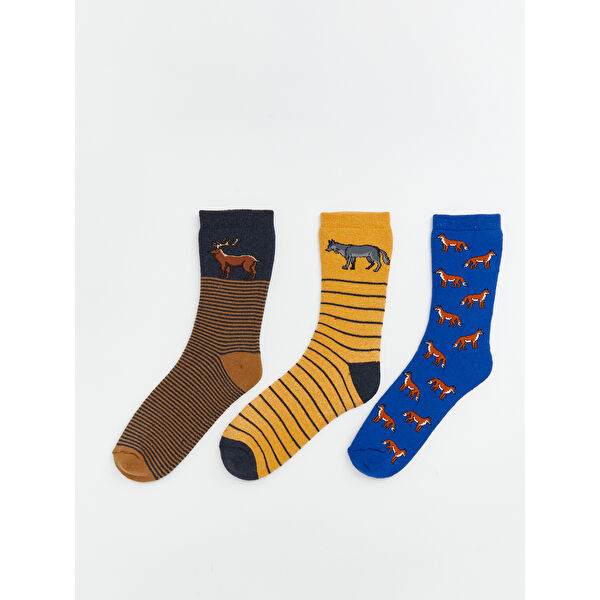 Baskılı Erkek Çocuk Havlu Soket Çorap 3'lü