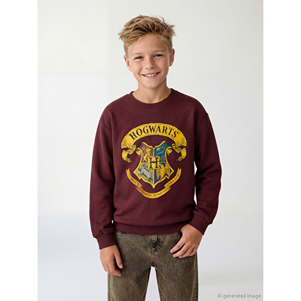 Erkek Çocuk Harry Potter Baskılı Sweatshirt