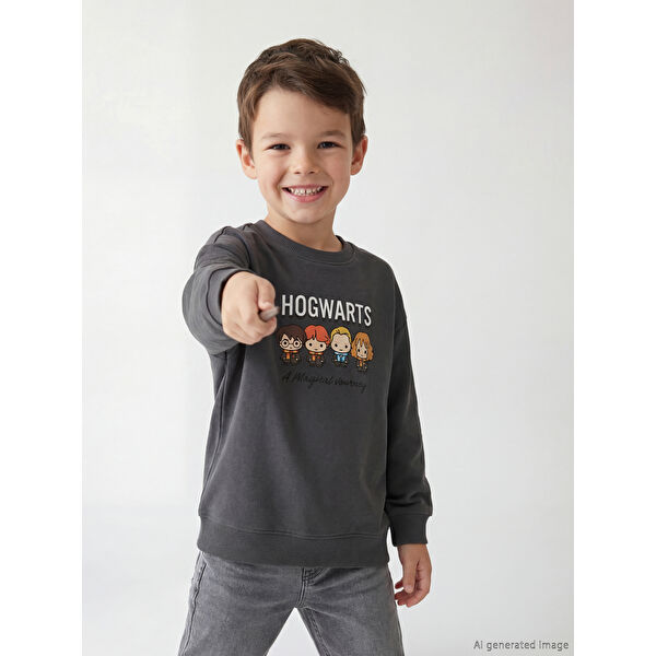 Harry Potter Baskılı Erkek Çocuk Penye Tişört