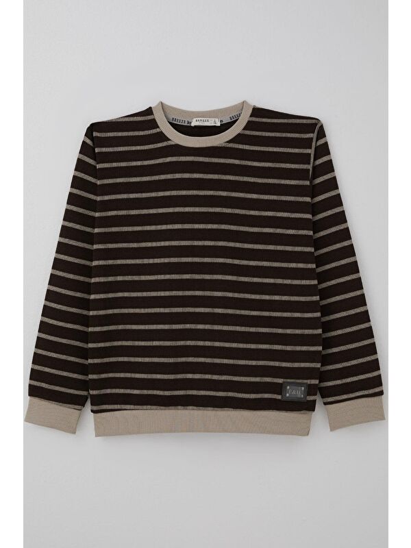 Breeze Erkek Çocuk Sweatshirt Arma Detaylı Çzgili Koyu Kahve (4-8 Yaş)
