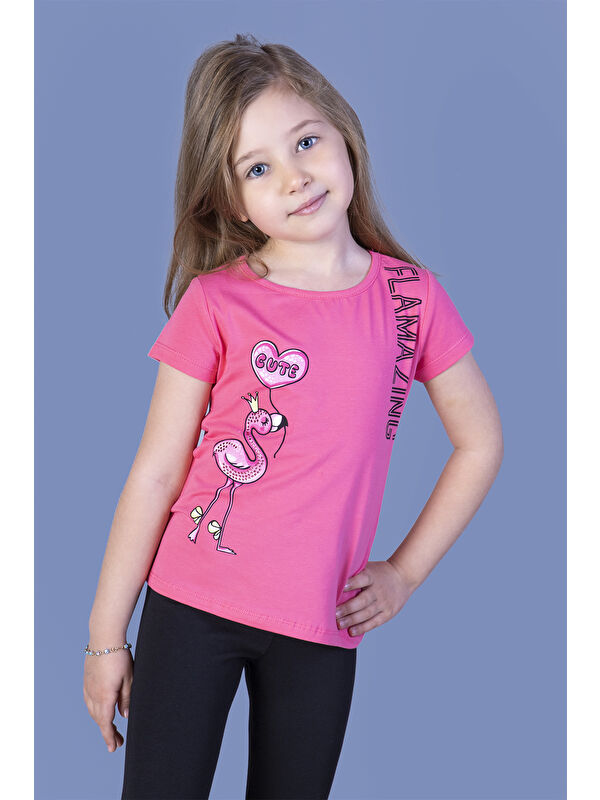 Toontoykids Kız Çocuk Flamingo Desenli Taş İşlemeli Baskılı Tişört