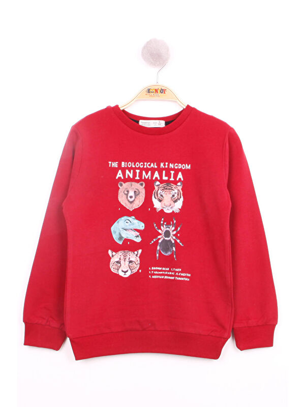 Toontoykids Erkek Çocuk Hayvan Baskılı Sweatshirt