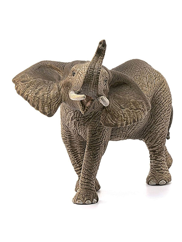 Schleich Wild Life Figür Erkek Afrika Fili CWL14762
