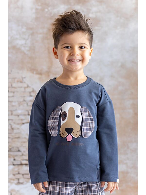 MİNİNİO Erkek Bebek Kulak Detaylı Sweatshirt - Antrasit