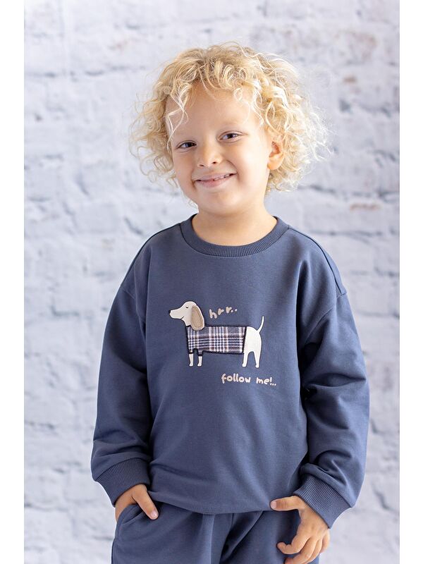 MİNİNİO Erkek Bebek Baskı Nakış Detaylı Sweatshirt - Antrasit