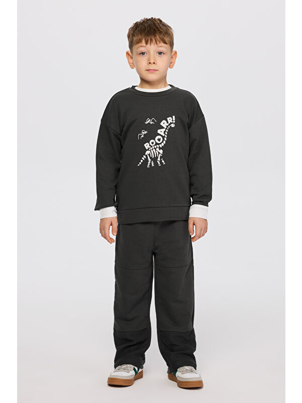 Panço Erkek Çocuk Dinozor Baskı Antrasit Sweatshirt
