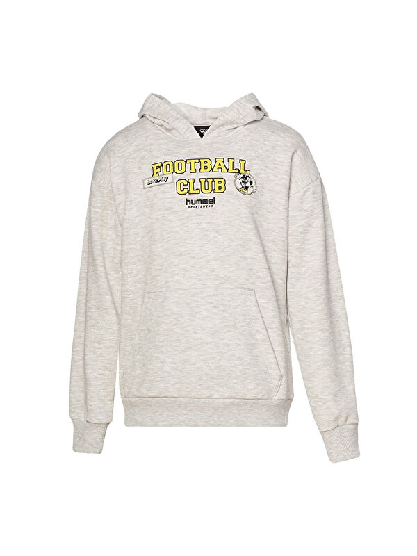 Hummel Pardew Erkek Çocuk Gri Kapüşonlu Sweatshirt
