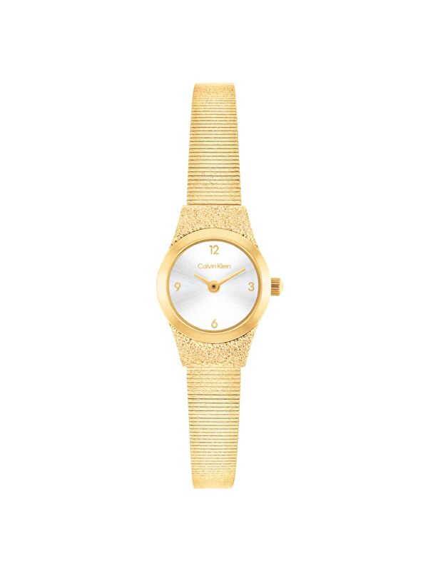 Calvin Klein CK25100193 Kadın Kol Saati