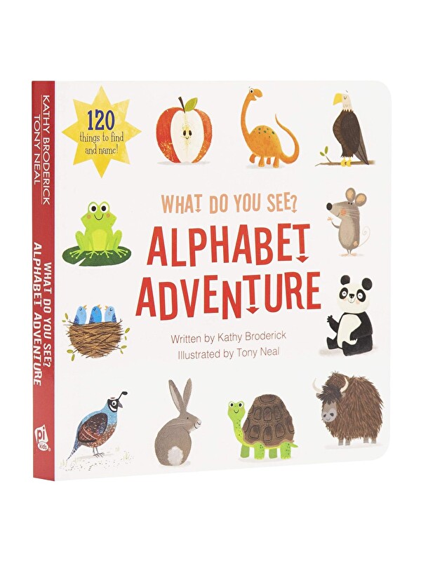 Pi Kids What Do You See?: Alphabet Adventure