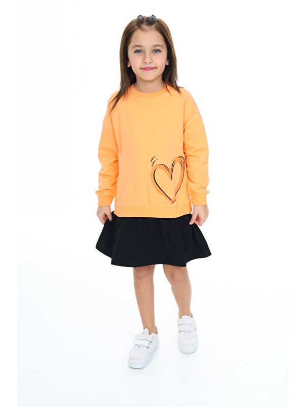 Toontoykids Kız Çocuk Baskılı Relax Fit Bisiklet Yaka Uzun Kollu Elbise - Renk Bloklu