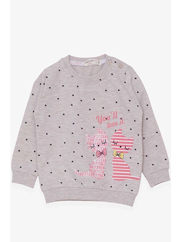 Breeze Kız Bebek Sweatshirt Mutlu Kedicikler Bej Melanj (4 Ay-1 Yaş)