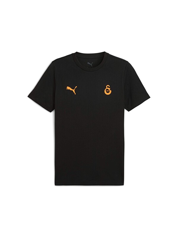 Puma GALATASARAY FtblESSENTIALS Erkek Tişört