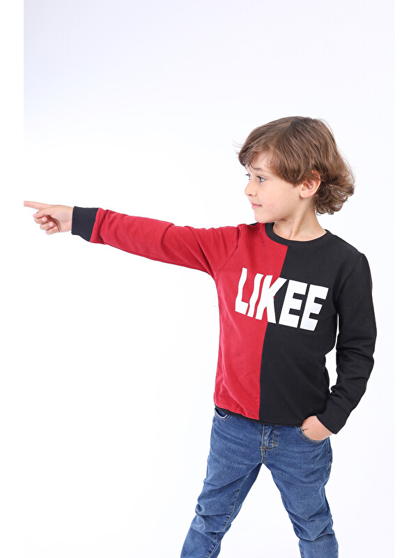 Toontoykids Erkek Çocuk İki Renkli Baskılı Sweatshirt