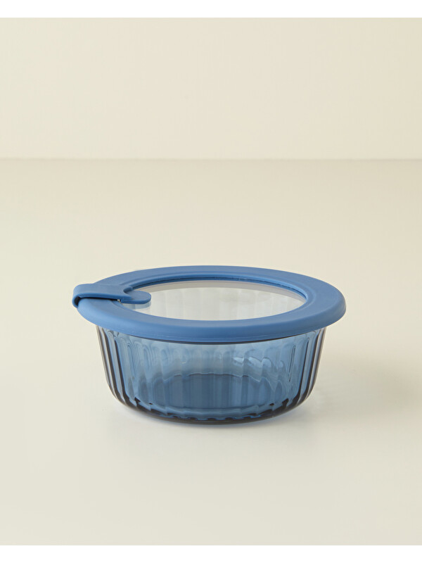 English Home Aqua Cam Saklama Kabı 650 ml Lacivert