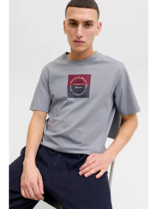 Jack & Jones Originals Logolu Pamuklu Regular Fit Bisiklet Yaka T Shirt 12290856