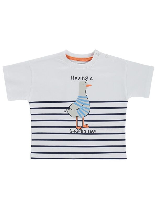 Civil Baby Martı Baskılı 3-12 Ay Tişört - Beyaz
