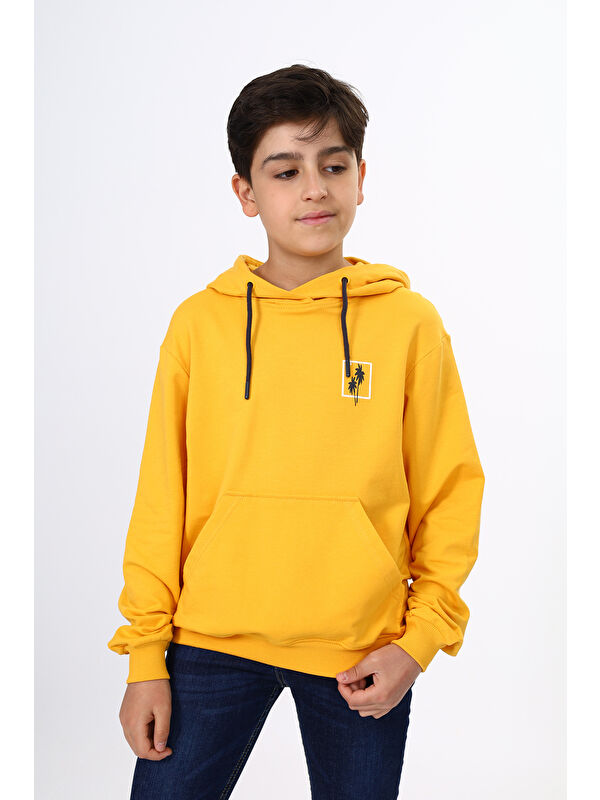Toontoykids Erkek Çocuk Baskılı Sweatshirt
