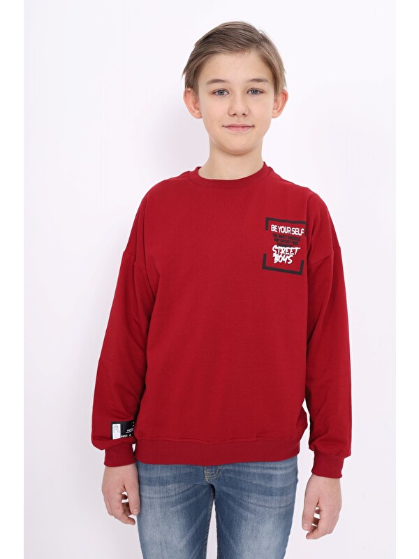 Toontoykids Erkek Çocuk Baskılı Sweatshirt