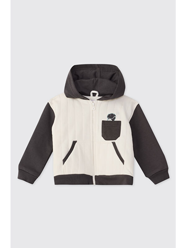 Panço Erkek Bebek Dinozor Baskılı Antrasit Sweatshirt