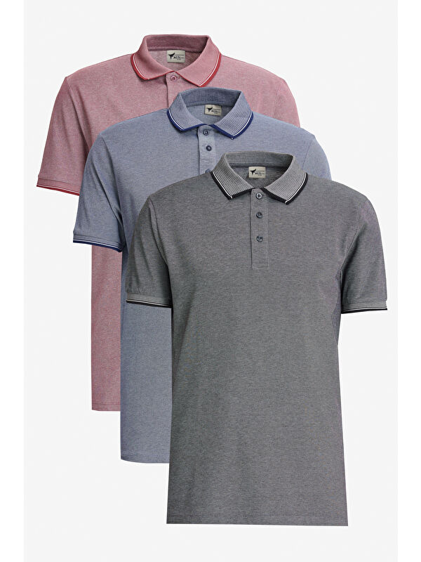 AC&Co / Altınyıldız Classics Erkek BORDO-ACIK SIYAH-ACIK LACI Slim Fit Dar Kesim 3 'lü Kıvrılmaz Polo Yaka Tişört