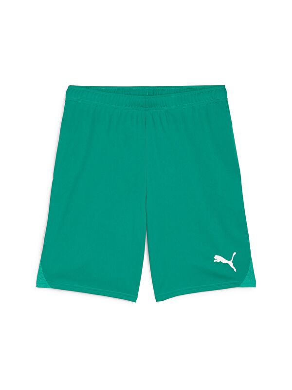 Puma teamGOAL Football Erkek Şort