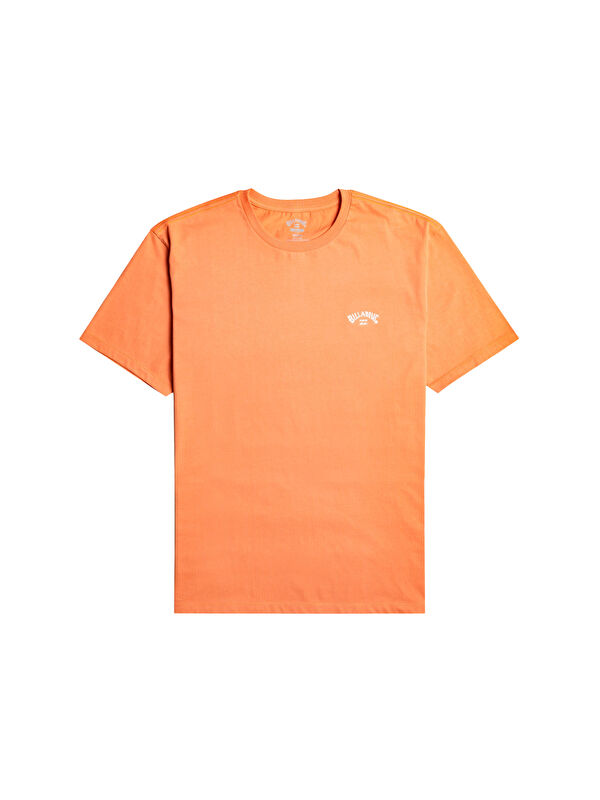 Billabong Arch Crew Ss Erkek Tişört