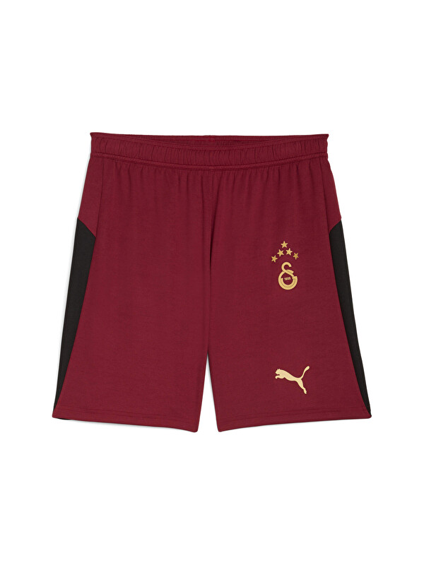 Puma GALATASARAY 25/26 Erkek Futbol Şortu