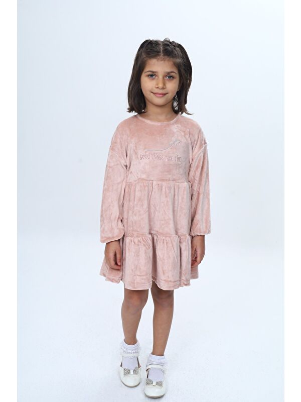 Toontoykids Kız Çocuk Nakışlı Elbise
