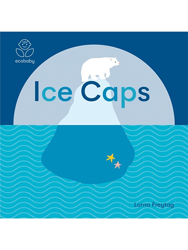 Templar Publishing Eco Baby: Ice Caps