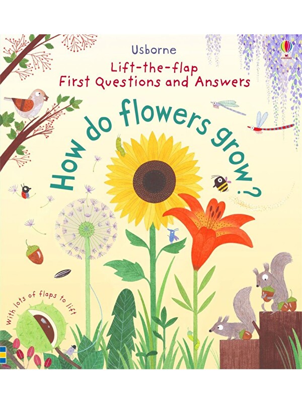 Usborne Publishing First Questions and Answers: How Do Flowers Grow?