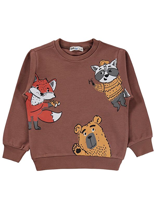 Civil Boys Tili Rakun Ayı Baskılı 2-5 Yaş Sweatshirt - Kahverengi 3-4 Yaş