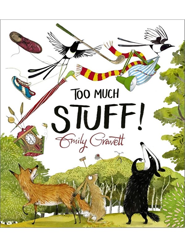 Pan Macmillan Too Much Stuff