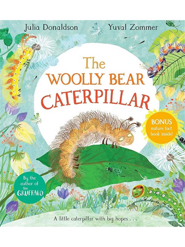Pan Macmillan The Woolly Bear Caterpillar