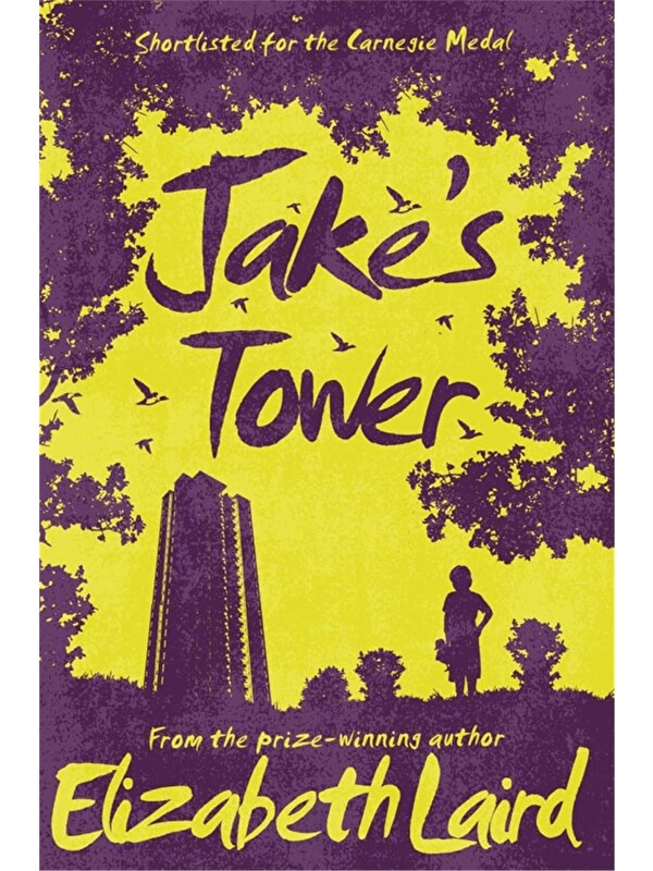 Pan Macmillan Jake's Tower