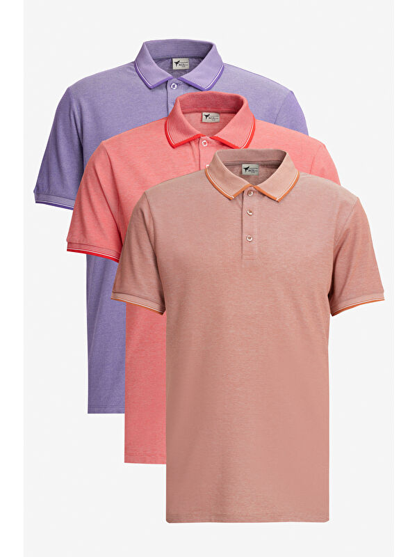AC&Co / Altınyıldız Classics Erkek KIREMIT-NAR CICEGI-MOR Slim Fit Dar Kesim 3 'lü Kıvrılmaz Polo Yaka Tişört