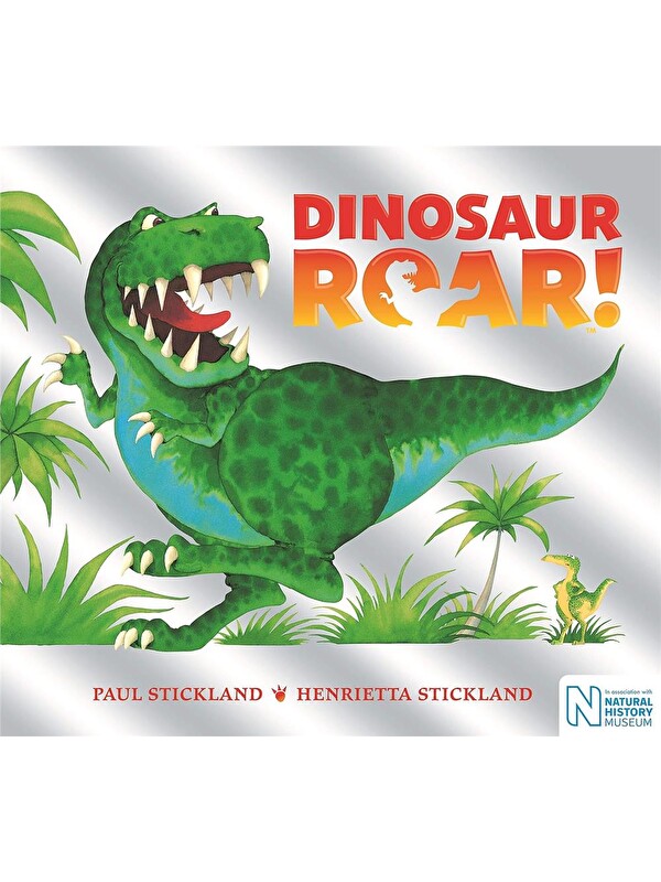 Pan Macmillan Dinosaur Roar!