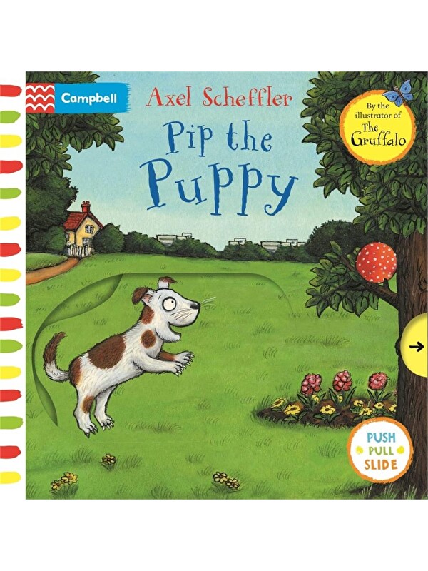 Pan Macmillan First Stories: Pip the Puppy