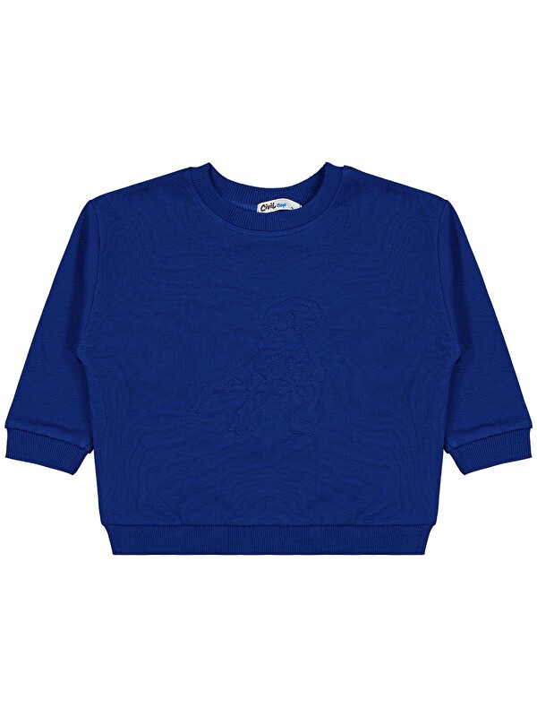 Civil Boys Dinozor Nakışlı 2-5 Yaş Sweatshirt - Mavi