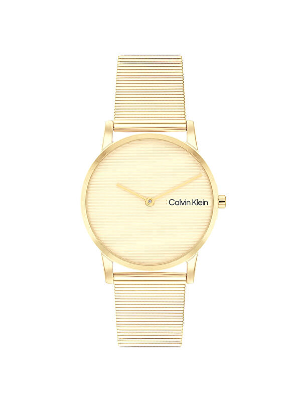 Calvin Klein CK25100035 Kadın Kol Saati