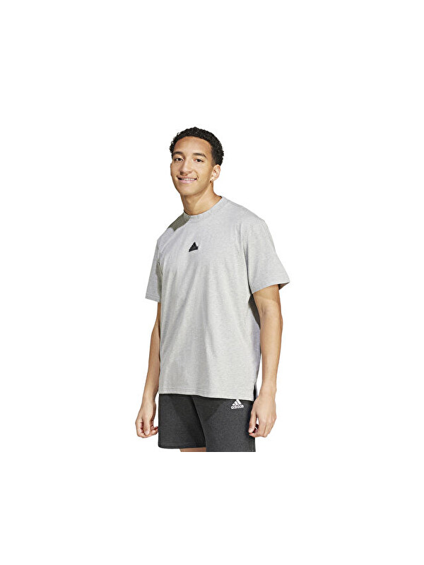 Adidas Bl Sj T Q3 Erkek Günlük Tişört IW3541 Gri