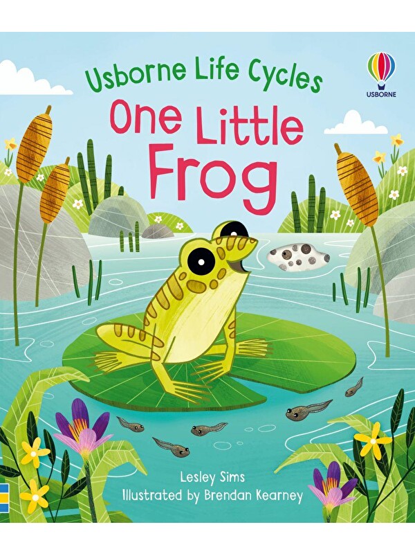 Usborne Publishing Life Cycles: One Little Frog