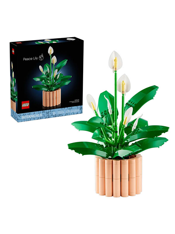 Lego Botanicals Barış Çiçeği 11504