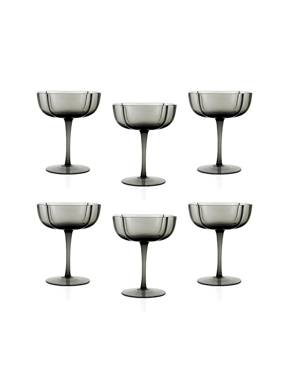 SCHAFER Ruth 6 Lı Ayaklı Kase 330 ML-Antrasit01