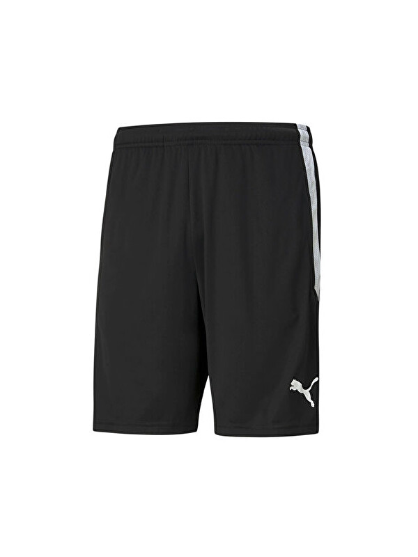 Puma Teamliga Training Shorts Erkek Futbol Maç Şortu 65724903 Siyah