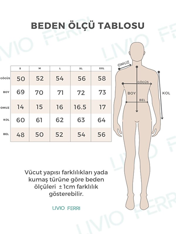 Livio Ferri Erkek Slim Fit 4 Mevsim Kolay Ütülenir Basic Düz Gömlek