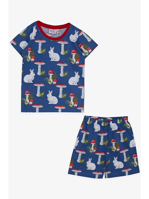 Breeze Kız Bebek Pijama Takımı Doğa Temalı Tavşancık Desenli Mavi (9 Ay-1.5 Yaş)