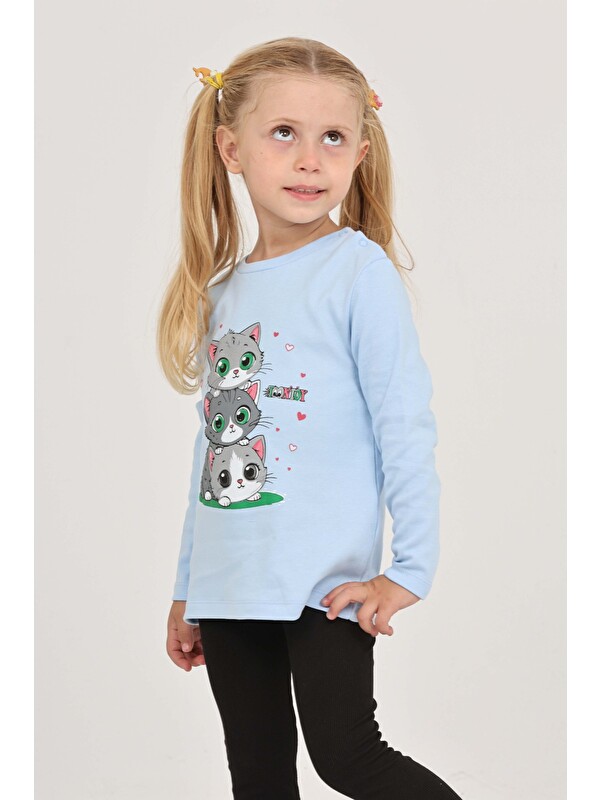 Toontoykids Kız Çocuk Üçlü Kedi Baskılı Sweatshirt