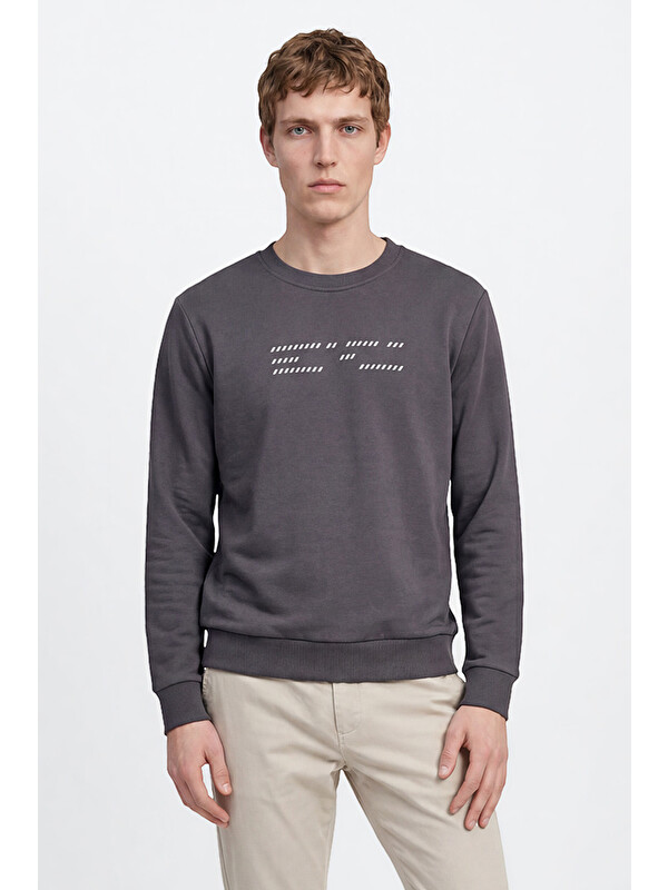 Altınyıldız Classics Erkek Antrasit Pamuklu Standart Fit Normal Kesim Bisiklet Yaka Sweatshirt