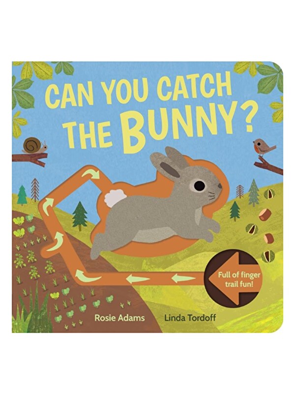 Little Tiger Can You Catch the Bunny