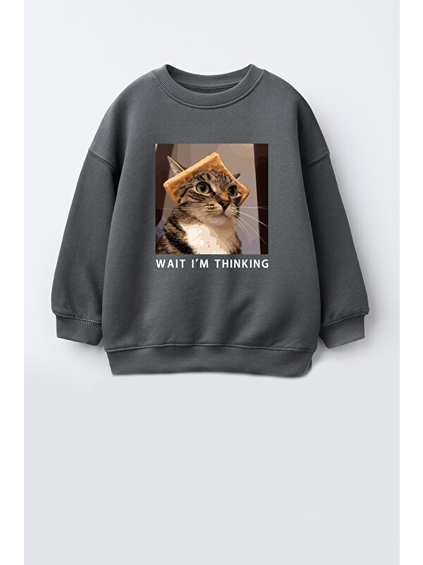Monila Erkek Çocuk 3 İplik Kumaş Kedi Baskılı Pamuklu Sweatshirt